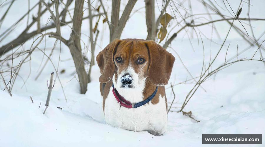 超越极限，勇往直前！